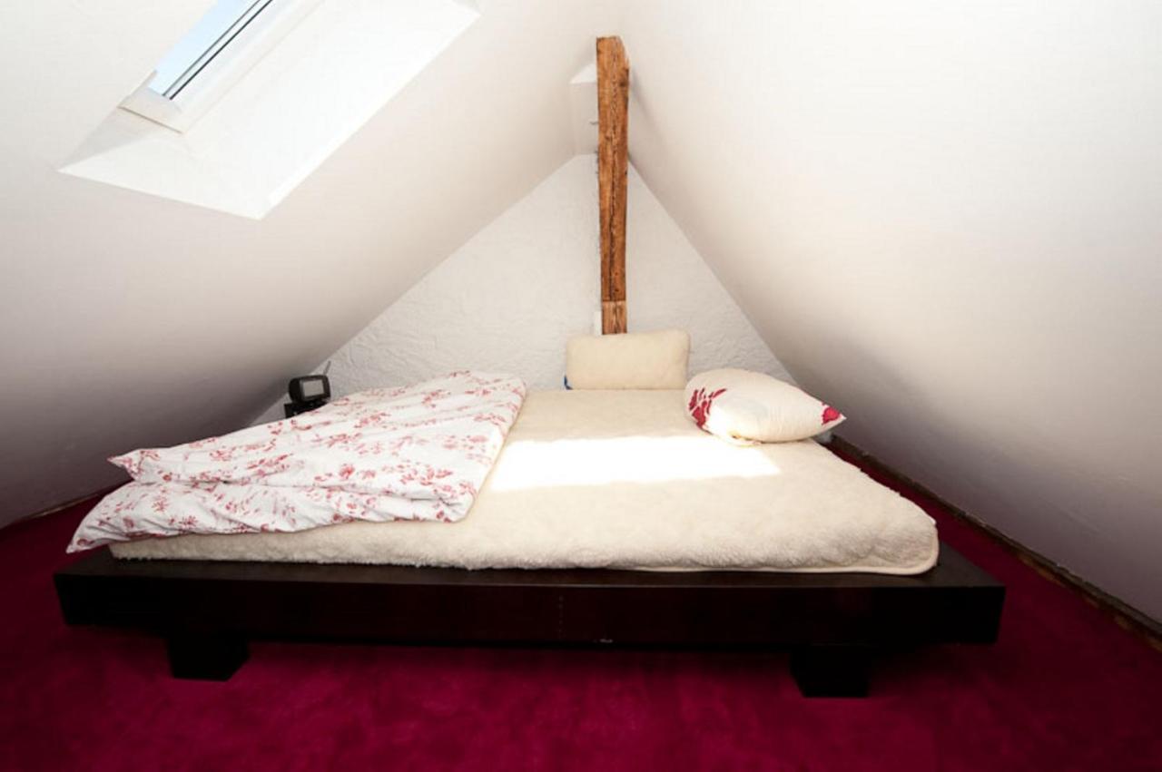 City Lux Apartment In Der Stadt Фрайбург Екстериор снимка